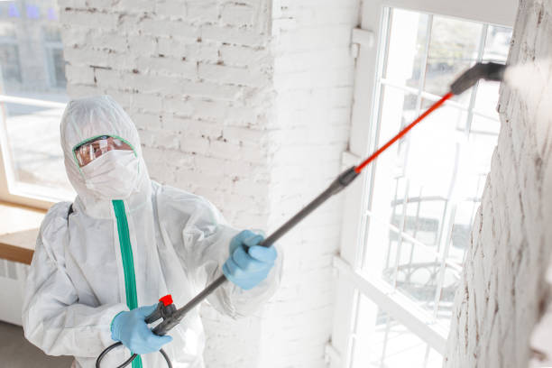 Best Mold Remediation for Healthcare Facilities  in Hurstbourne Acres, KY