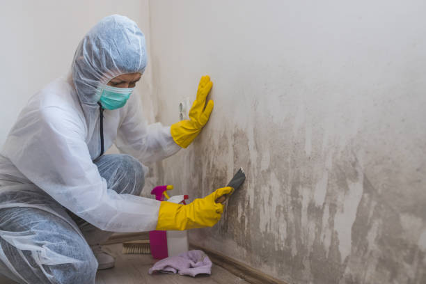 Best Industrial Mold Remediation  in Hurstbourne Acres, KY