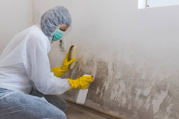 Best Mold Prevention Services  in Hurstbourne Acres, KY