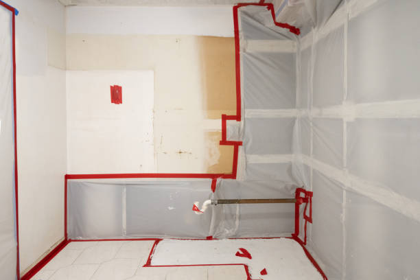 Best Basement Mold Removal  in Hurstbourne Acres, KY