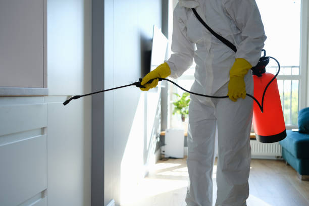 Best Biohazard Mold Removal  in Hurstbourne Acres, KY