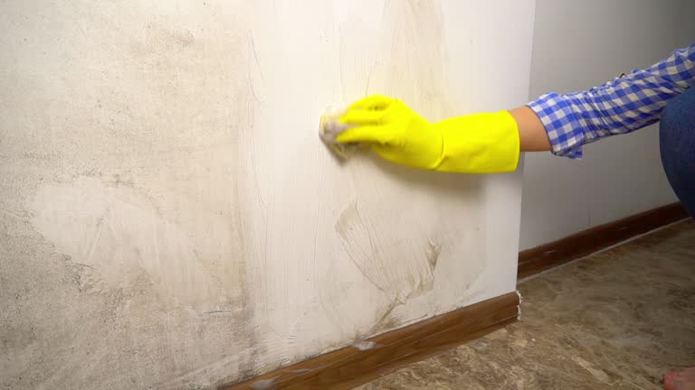 Best Mold Prevention Services  in Hurstbourne Acres, KY